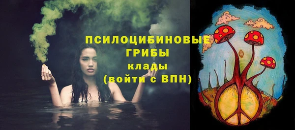 MESCALINE Аркадак