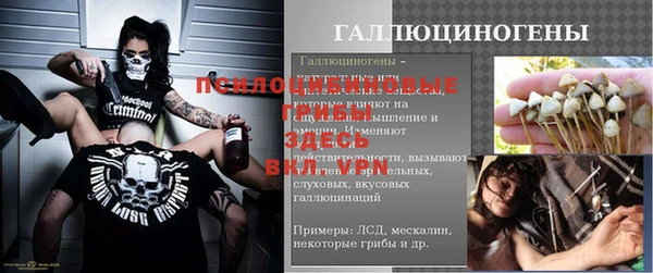 мяу мяу мука Арсеньев