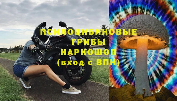 мяу мяу мука Арсеньев
