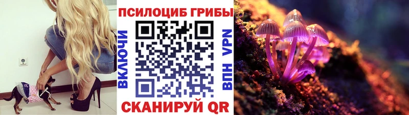 купить   Пудож  Галлюциногенные грибы мицелий 