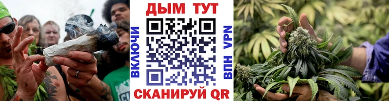 Бошки Шишки семена  цены наркотик  Пудож 